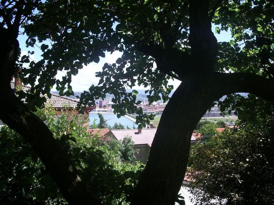 Studio With Garden Near The Sea Koper Exterior photo